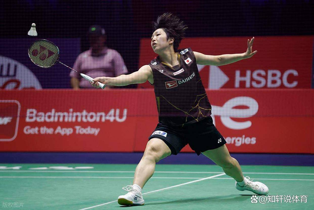 马来西亚羽毛球队险胜法国羽毛球队，辛杜高光表现的简单介绍